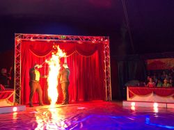 Zirkus_2